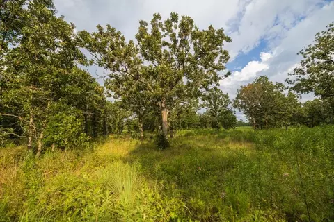 NE 100th Road, Lamar, MO 64759 photo 55