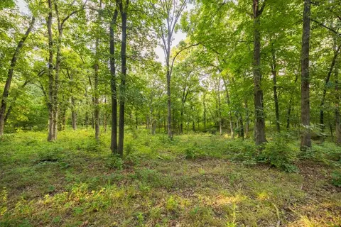 NE 100th Road, Lamar, MO 64759 photo 69