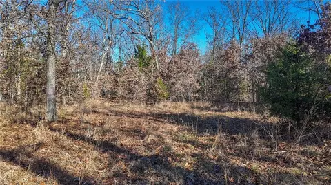 0000 SE 1151 Rd, Collins, MO 64738 photo 39