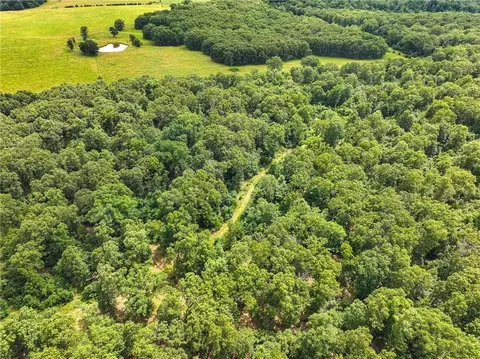0000 SE 1151 Rd, Collins, MO 64738 photo 17