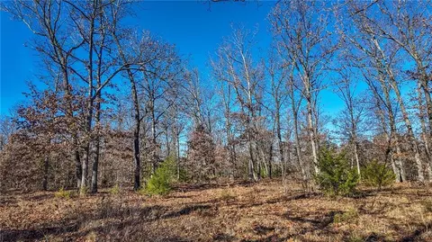 0000 SE 1151 Rd, Collins, MO 64738 photo 38