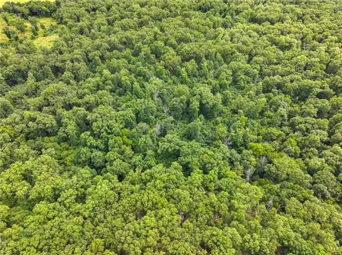 0000 SE 1151 Rd, Collins, MO 64738 photo 32