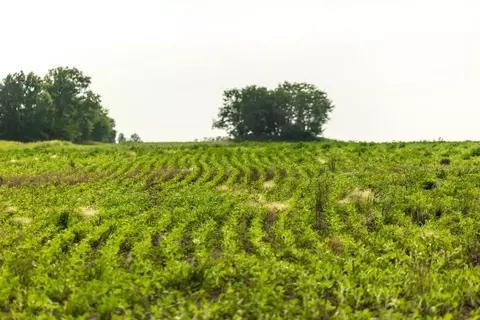 Cr 330 Road, Hale, MO 64643 photo 22