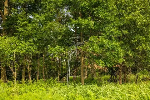 Cr 330 Road, Hale, MO 64643 photo 26