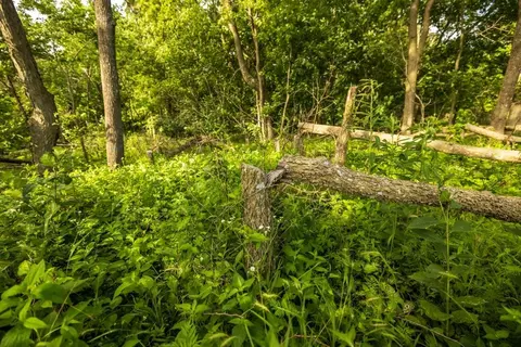 Cr 330 Road, Hale, MO 64643 photo 27