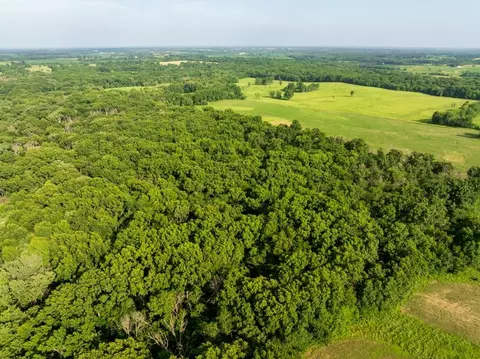 Cr 330 Road, Hale, MO 64643 photo 10