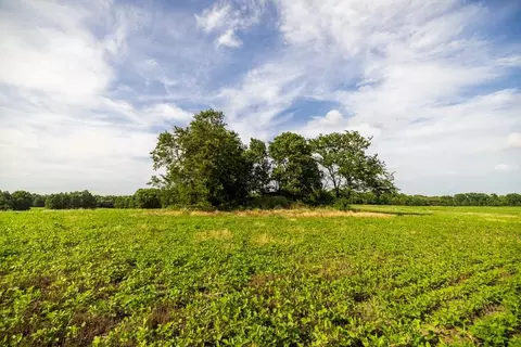 Cr 330 Road, Hale, MO 64643 photo 24