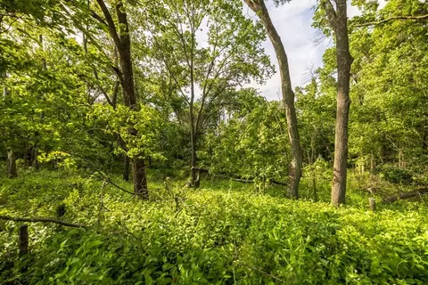 Cr 330 Road, Hale, MO 64643 photo 28