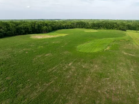 Cr 330 Road, Hale, MO 64643 photo 19