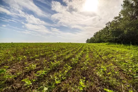 Cr 330 Road, Hale, MO 64643 photo 29