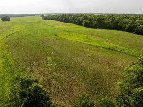 Cr 330 Road, Hale, MO 64643 photo 4