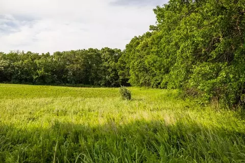 Cr 330 Road, Hale, MO 64643 photo 32