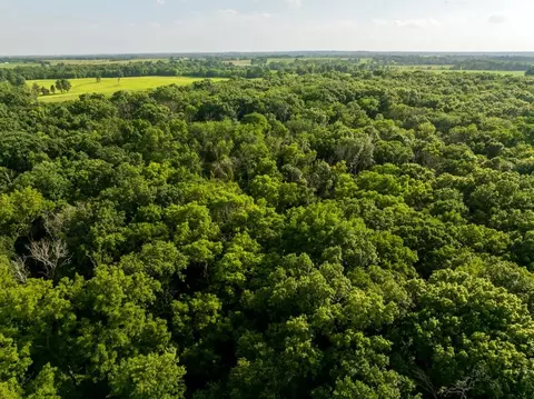 Cr 330 Road, Hale, MO 64643 photo 8