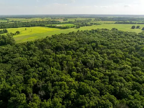 Cr 330 Road, Hale, MO 64643 photo 7