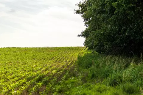 Cr 330 Road, Hale, MO 64643 photo 23