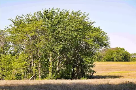 tbd Key Ave, Gallatin, MO 64640 photo 31
