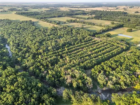 S 600 Road, Richards, MO 64778 photo 17