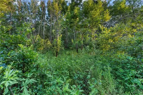 S 600 Road, Richards, MO 64778 photo 38