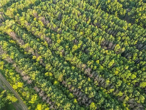 S 600 Road, Richards, MO 64778 photo 26