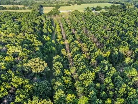 S 600 Road, Richards, MO 64778 photo 24