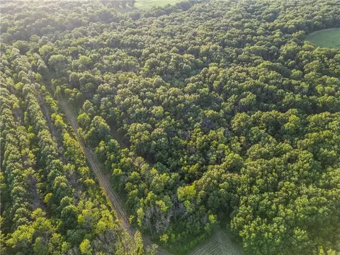 S 600 Road, Richards, MO 64778 photo 20