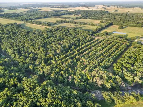 S 600 Road, Richards, MO 64778 photo 10