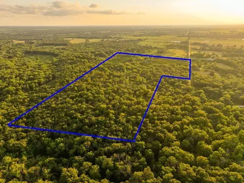 View/Area - 14143 S 2875 Rd, Walker, MO 64790 photo 4 of 7