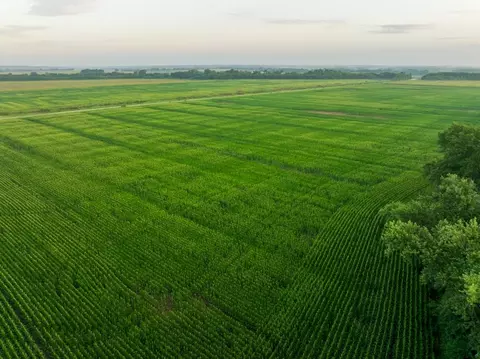 tbd C Hwy, Dawn, MO 64638 photo 14