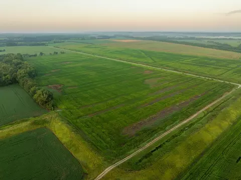 tbd C Hwy, Dawn, MO 64638 photo 18