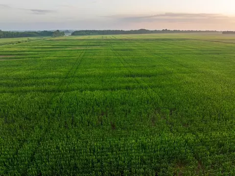 tbd C Hwy, Dawn, MO 64638 photo 15
