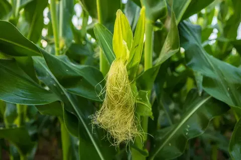 tbd C Hwy, Dawn, MO 64638 photo 27