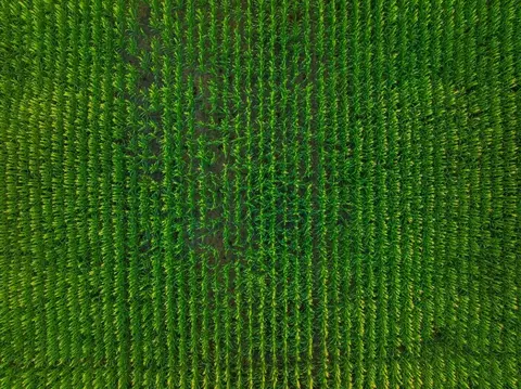 tbd C Hwy, Dawn, MO 64638 photo 4