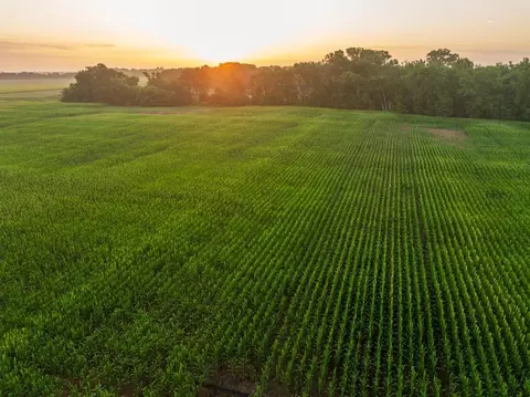 tbd C Hwy, Dawn, MO 64638 photo 16