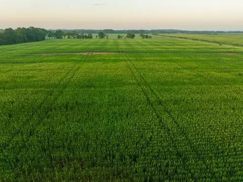 tbd C Hwy, Dawn, MO 64638 photo 17