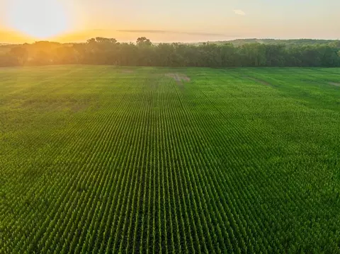 tbd C Hwy, Dawn, MO 64638 photo 3