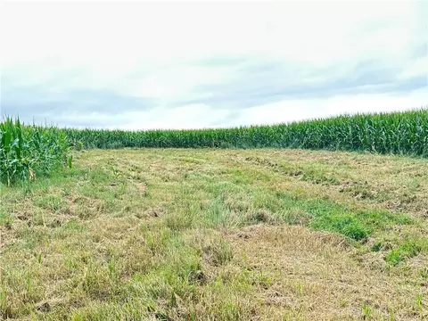 Tract 4 Noble Road, Conception Jct, MO 64434 photo 20