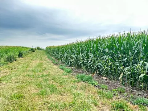 Tract 4 Noble Road, Conception Jct, MO 64434 photo 21