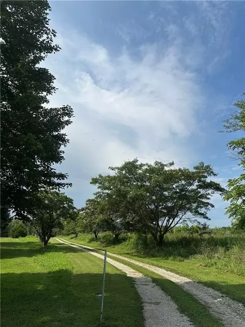Other - 321 NW 1071st Rd, Centerview, MO 64019 photo 1 of 27