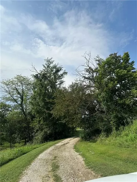 Other - 321 NW 1071st Rd, Centerview, MO 64019 photo 5 of 27