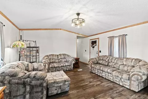 Living - 845 S Carriage Dr, Deepwater, MO 64740 photo 3 of 3