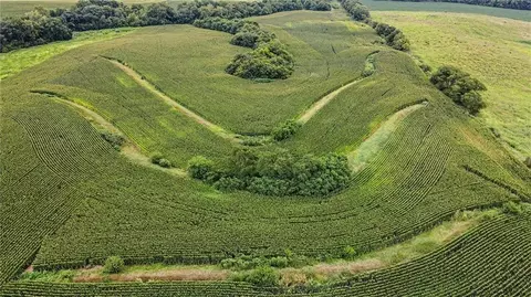V Highway, Dearborn, MO 64439 photo 6
