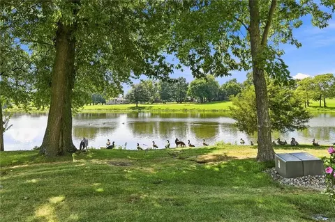 View/Area - 828 SW Lighthouse Pt, Lees Summit, MO 64082 photo 1 of 17