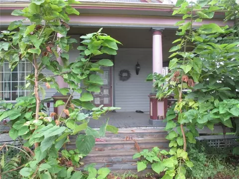 Exterior - 664 S Odell Ave, Marshall, MO 65340 photo 2 of 5