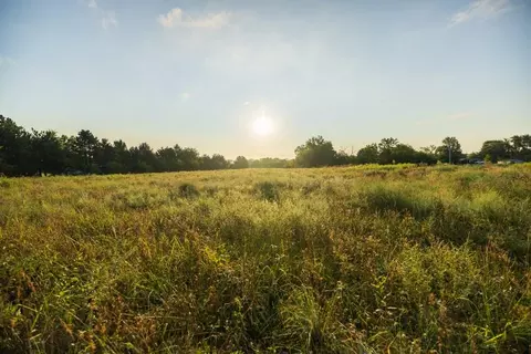 Other - 14769 NE State Route E Hwy, Adrian, MO 64720 photo 14 of 28