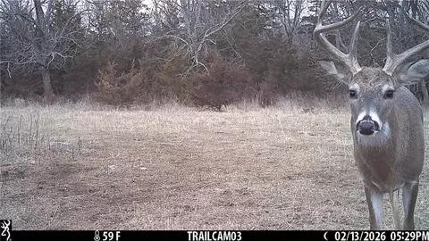 Other - 2354 65th St, Mapleton, KS 66754 photo 12 of 39