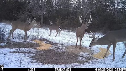 Other - 2354 65th St, Mapleton, KS 66754 photo 10 of 39