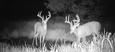Waldo Road, Amity, MO 64422 photo 46