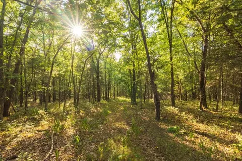 11615 32 Hwy, Stockton, MO 65785 photo 59