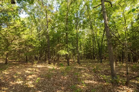 11615 32 Hwy, Stockton, MO 65785 photo 41