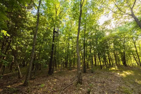 11615 32 Hwy, Stockton, MO 65785 photo 55